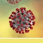 Coronavirus la situazione in Canavese - 22 aprile 2020