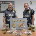 Scoperta piantagione di marijuana a Castello d'Annone