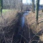 Spurgo dei fossi comunali e ripristino dell’alimentazione idrica del laghetto del Parco Letterario Guido Gozzano 2